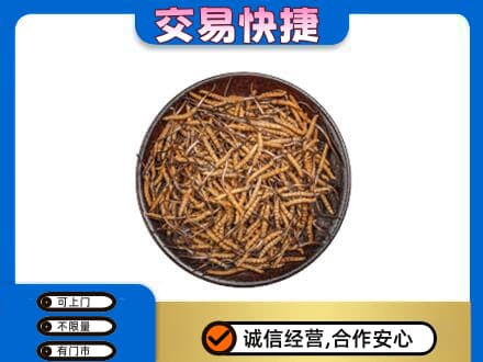 运城回收散虫草